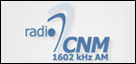 Radio CNM Arad